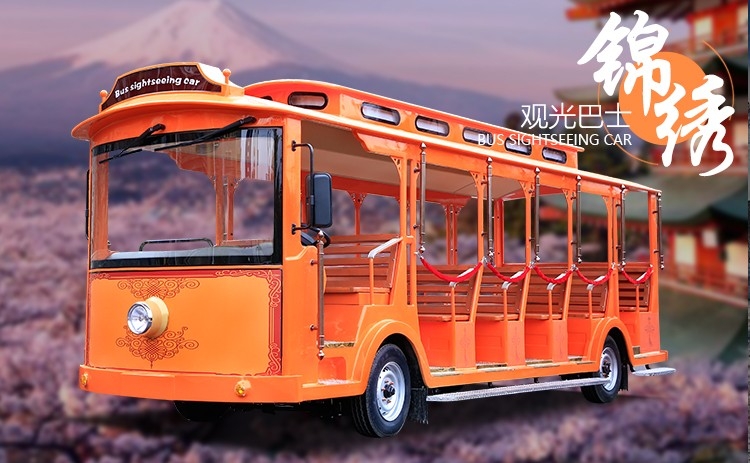 電動(dòng)觀(guān)光車(chē)