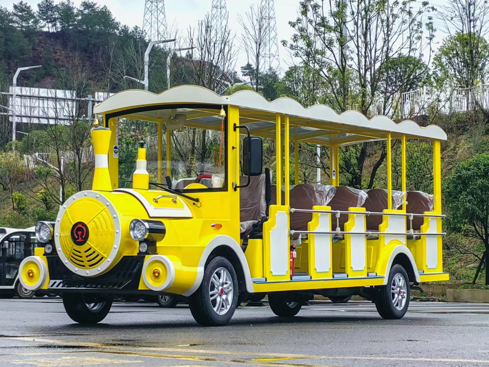 電動(dòng)觀光車(chē)