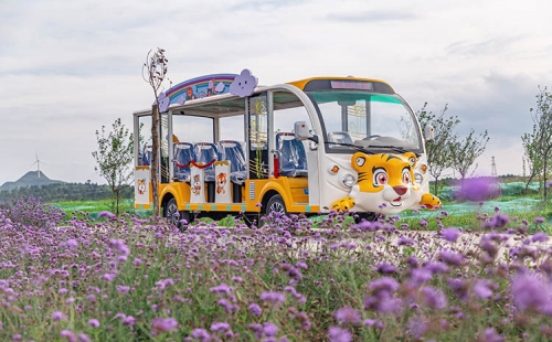 電動觀光車相對燃油觀光車來說有什么優(yōu)勢？